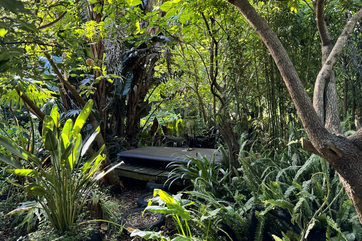 A secluded, heavily wooded garden area featuring dense foliage and a small, weathered wooden platform nestled among the trees.