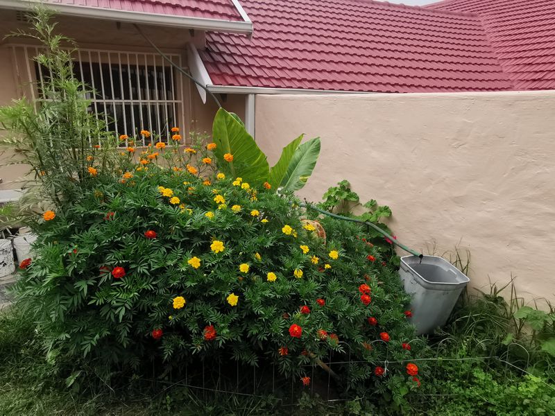 Secure Cottage In Main Avenue, Ferndale - Photo 7