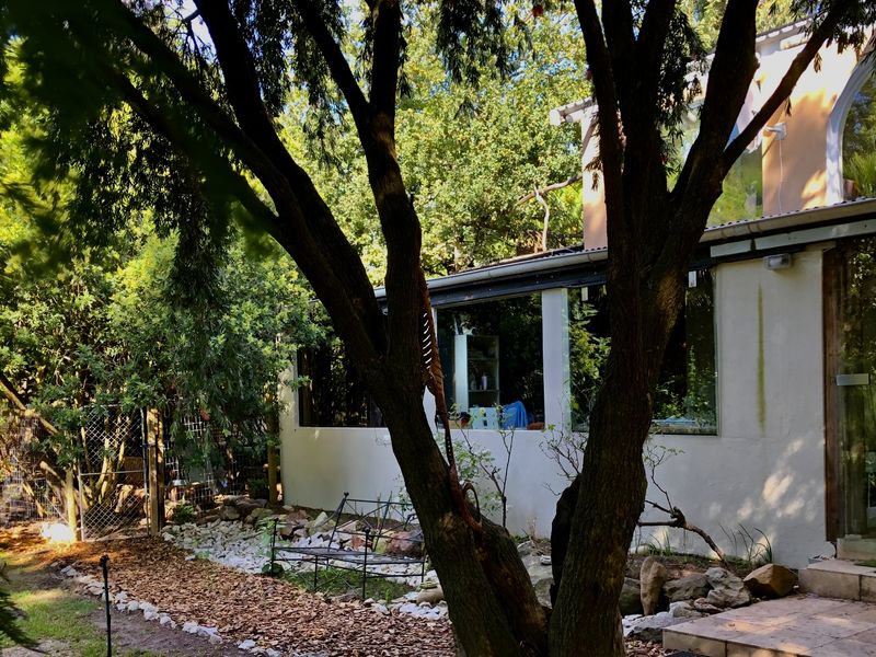 A view of the rear exterior of the apartment, featuring large windows, stone paving, and a lush, mature garden setting.
