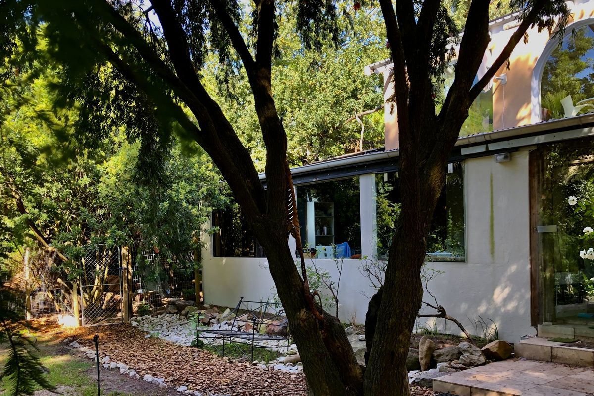 A view of the rear exterior of the apartment, featuring large windows, stone paving, and a lush, mature garden setting.