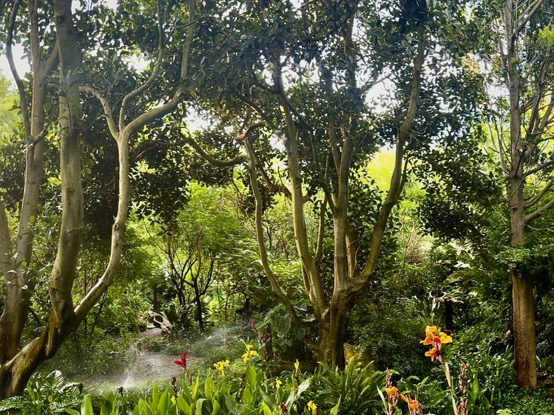 A lush, well-established garden featuring mature trees, vibrant flowering plants, and an active irrigation system, creating a serene and private outdoor environment.