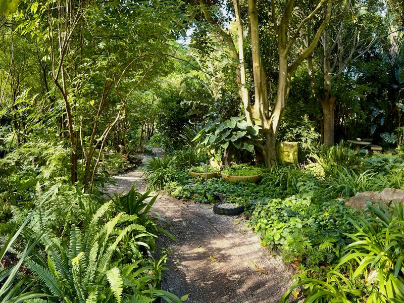 A lush, well-established garden featuring mature trees, dense greenery, and a winding gravel pathway through the landscape.