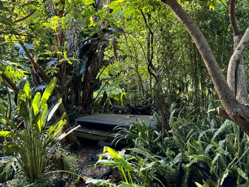 A dense, heavily wooded garden area featuring mature trees, lush tropical foliage, and a small wooden platform nestled within the greenery.