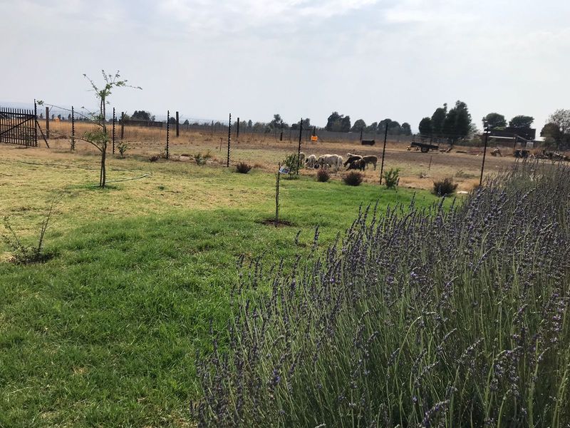 Secure 2-bedroom And 1-bathroom Cottage Available On A Plot In Randfontein - Photo 8
