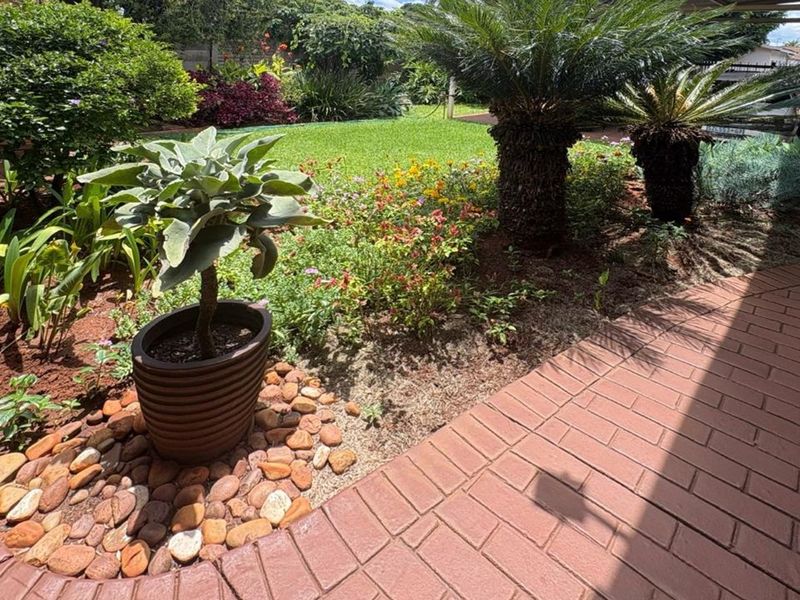 A well-maintained garden area featuring a brick paved walkway, established cycad plants, and colorful landscaped flower beds.