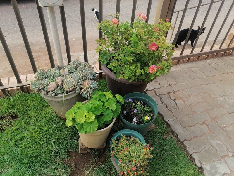 Lovely 2-Bedroom And 1-Bathroom Townhouse In Boshof - Photo 2