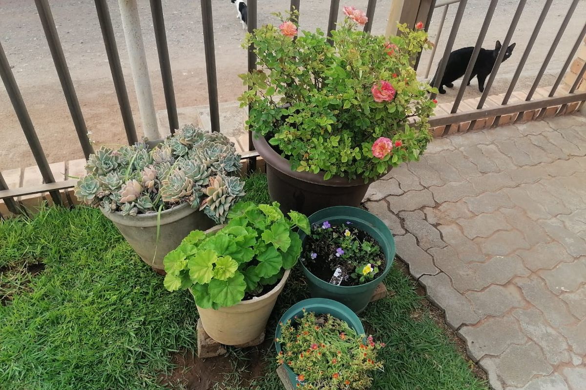 Lovely 2-Bedroom And 1-Bathroom Townhouse In Boshof - Photo 2