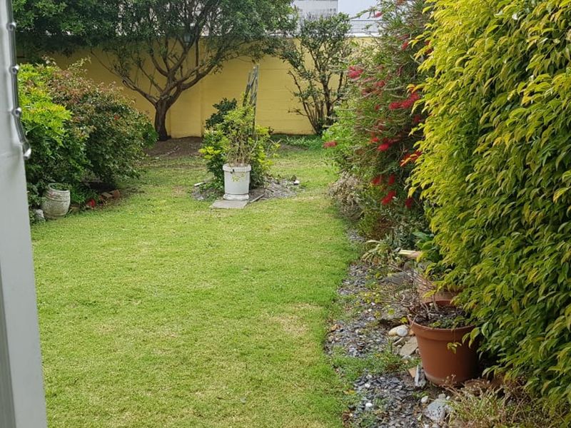 A private residential garden featuring a well-maintained lawn, established hedging, and a perimeter boundary wall.
