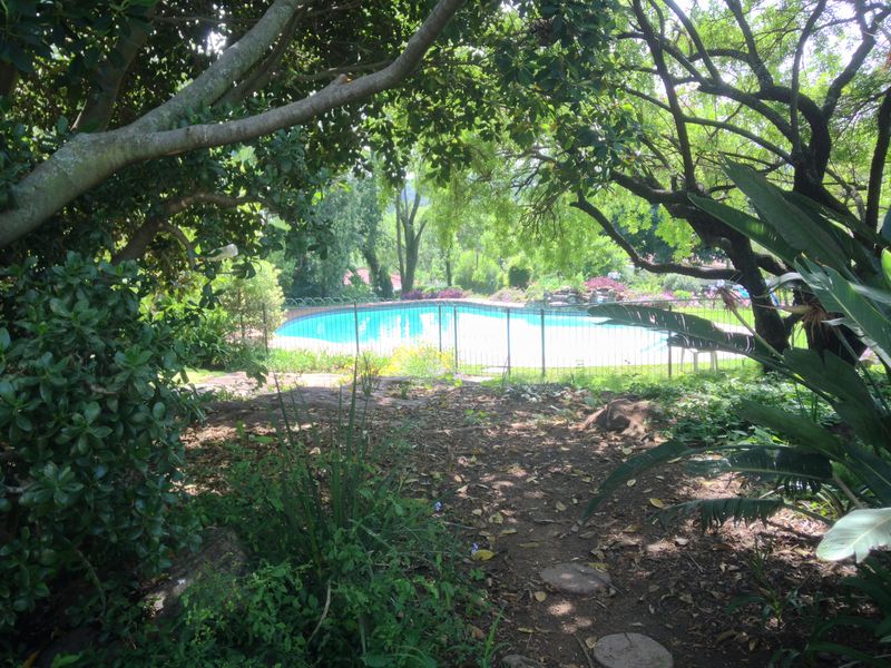 A view of a swimming pool enclosed by a safety fence, surrounded by mature trees and established garden landscaping.