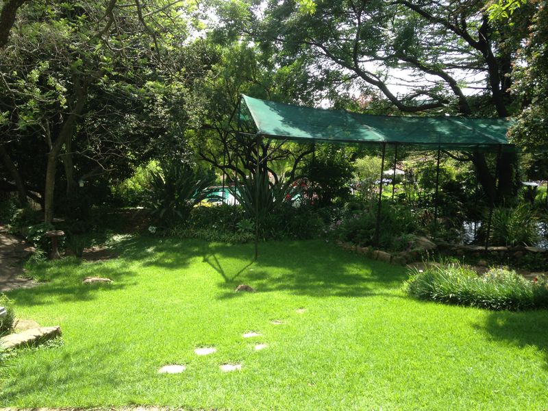 A lush, mature garden featuring a green shade cloth structure, established trees, manicured lawn, and stone pathway elements.