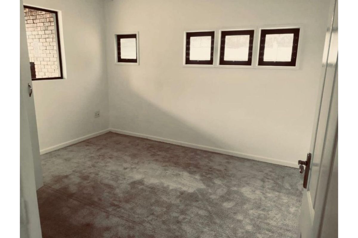 An empty bedroom featuring neutral walls, carpeted flooring, and multiple windows providing natural light.