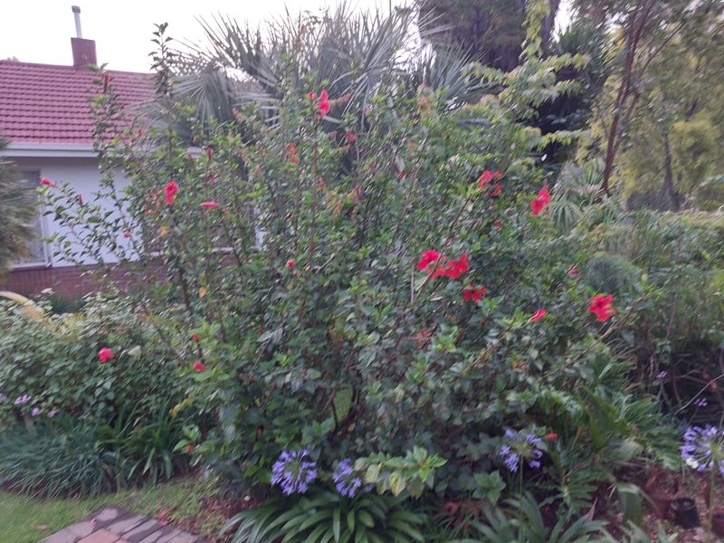 Pasteur Road, Rembrandt Park - Photo 3