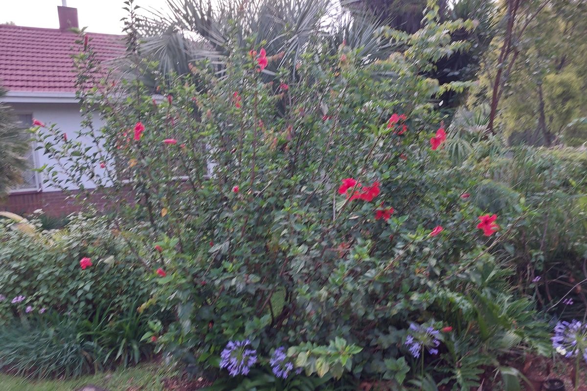 Pasteur Road, Rembrandt Park - Photo 3