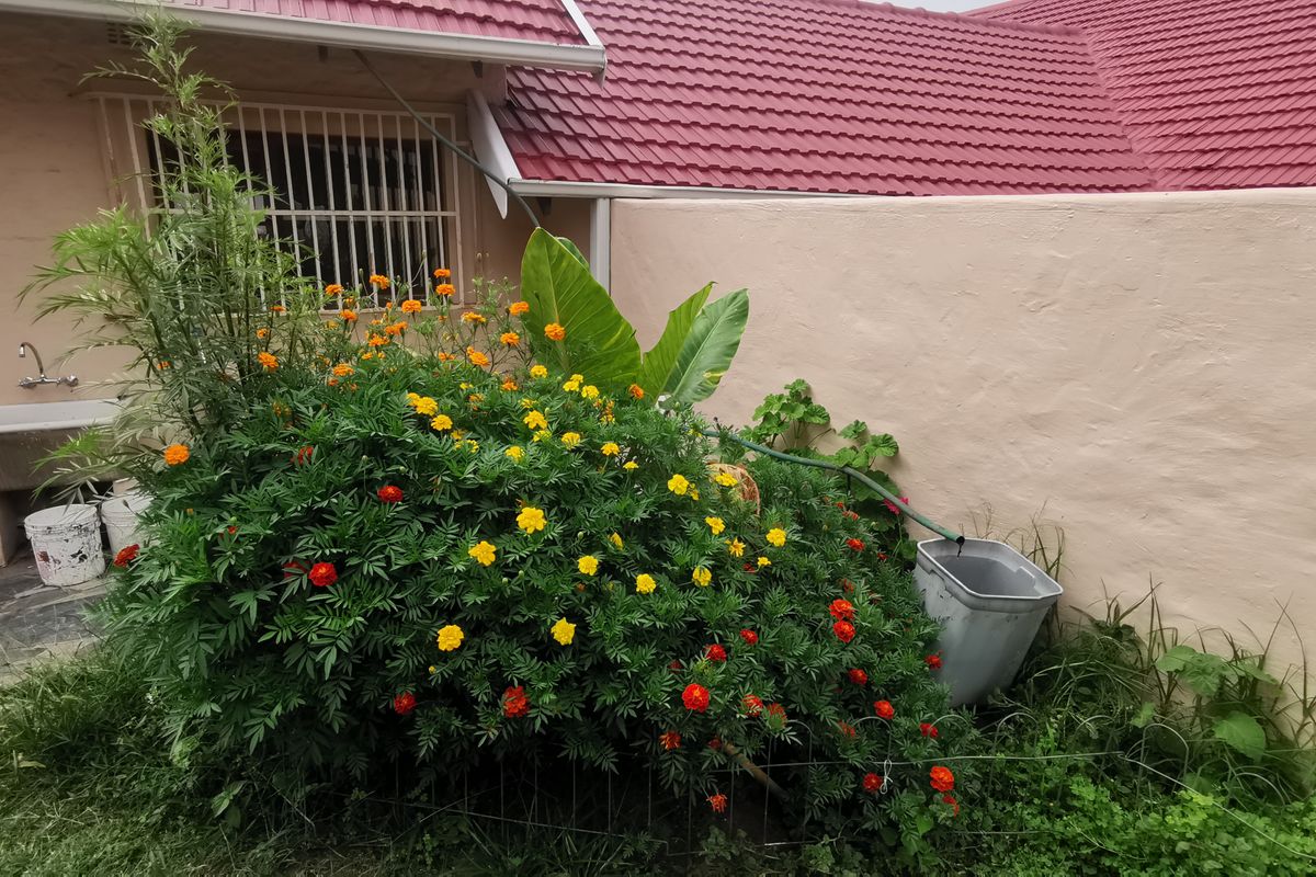 Secure 1-bedroom In A Shared House In Main Avenue, Ferndale - Photo 5