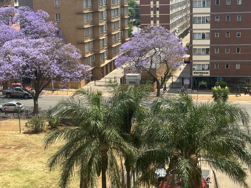 An elevated urban view overlooking a street, neighbouring apartment buildings, and landscaped grounds with mature trees.