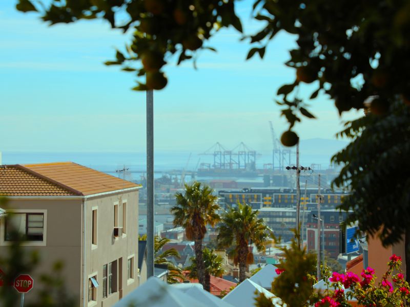 An elevated view overlooking the urban landscape, harbour, and distant coastline, framed by foreground foliage.