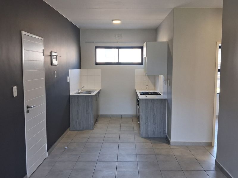 A clean, empty kitchen featuring modern grey cabinetry, tiled flooring, a built-in hob, and a stainless steel sink with tiled splashback.