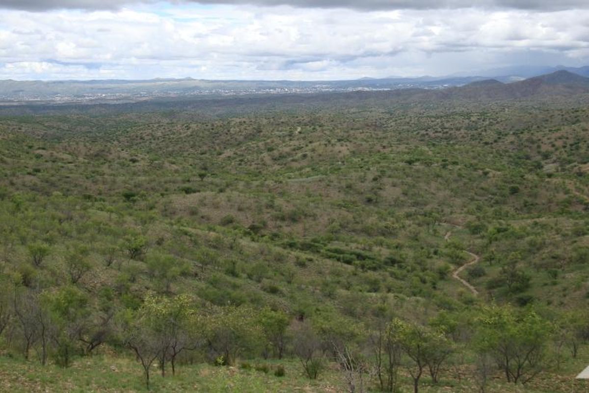 375H Farm Malabar portion (left side of Matchless Mine road) - Photo 2
