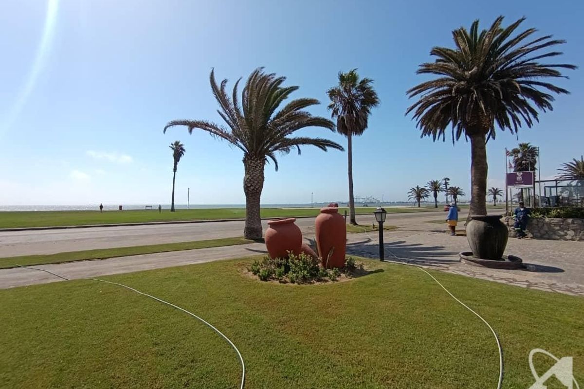 A well-maintained front garden area featuring mature palm trees, manicured lawn, and paved pathways with a view towards the coastal road.