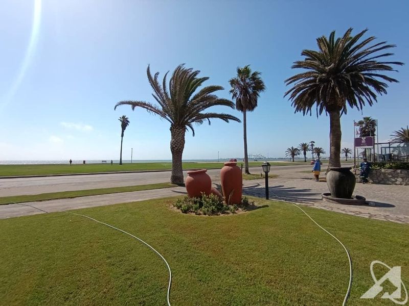 A well-maintained front garden area featuring mature palm trees, manicured lawn, and paved pathways with a view towards the coastal road.