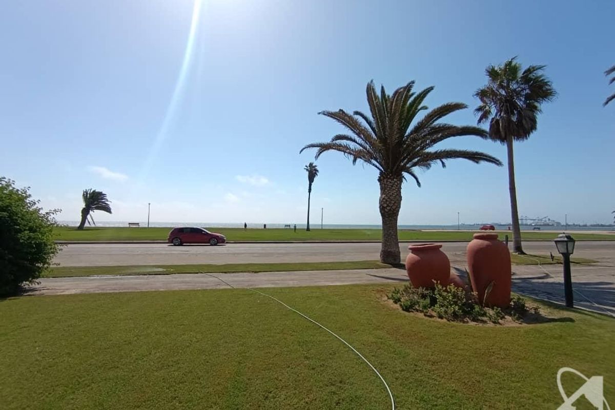 A scenic view of the coastal landscape featuring a well-maintained lawn, mature palm trees, and a clear outlook towards the sea.
