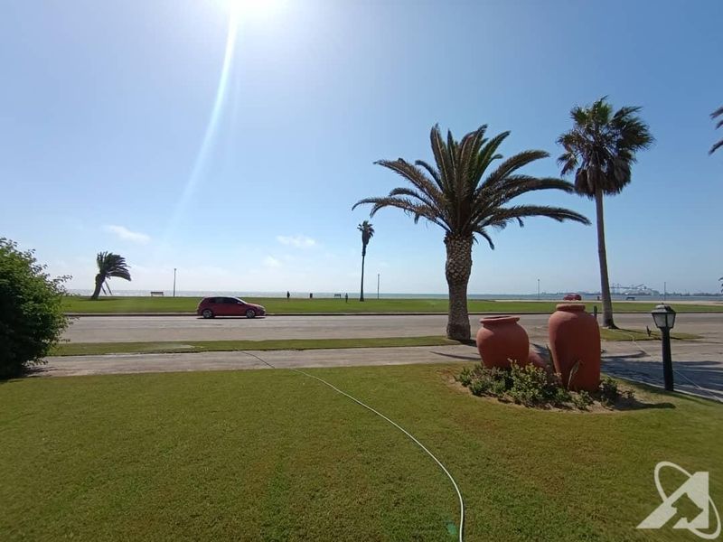 A scenic view of the coastal landscape featuring a well-maintained lawn, mature palm trees, and a clear outlook towards the sea.