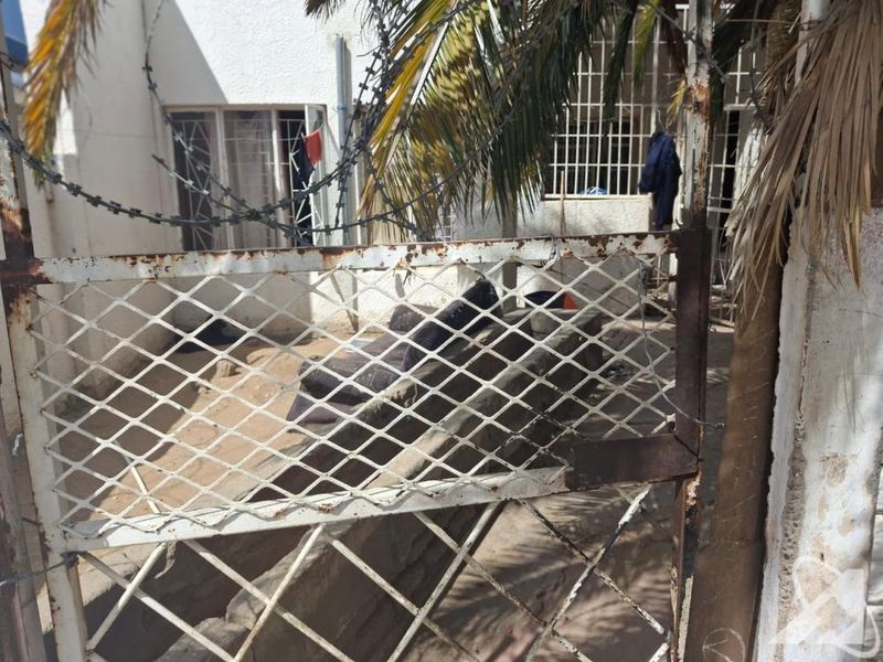 4 Bedroom House for sale in Khomasdal - Photo 2