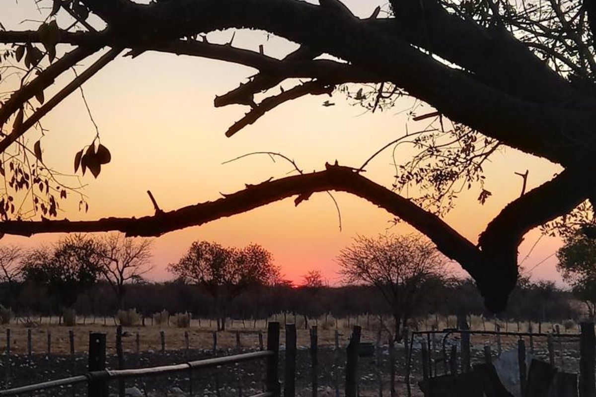 Farm Rosa No. 824 – Tsumeb District on Auction - Photo 2