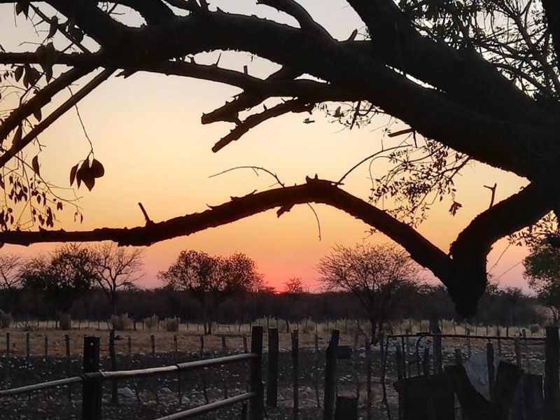 Farm Rosa No. 824 – Tsumeb District on Auction - Photo 2