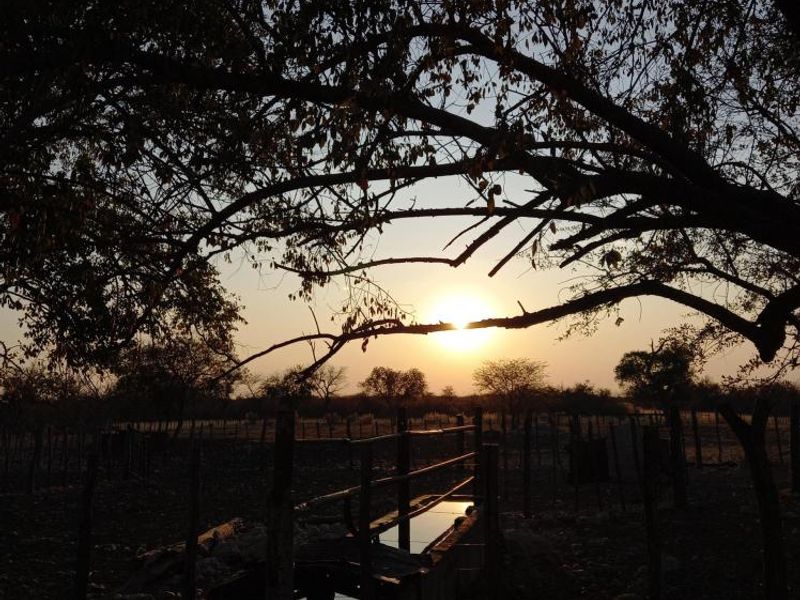 Farm Rosa No. 824 – Tsumeb District on Auction - Photo 7