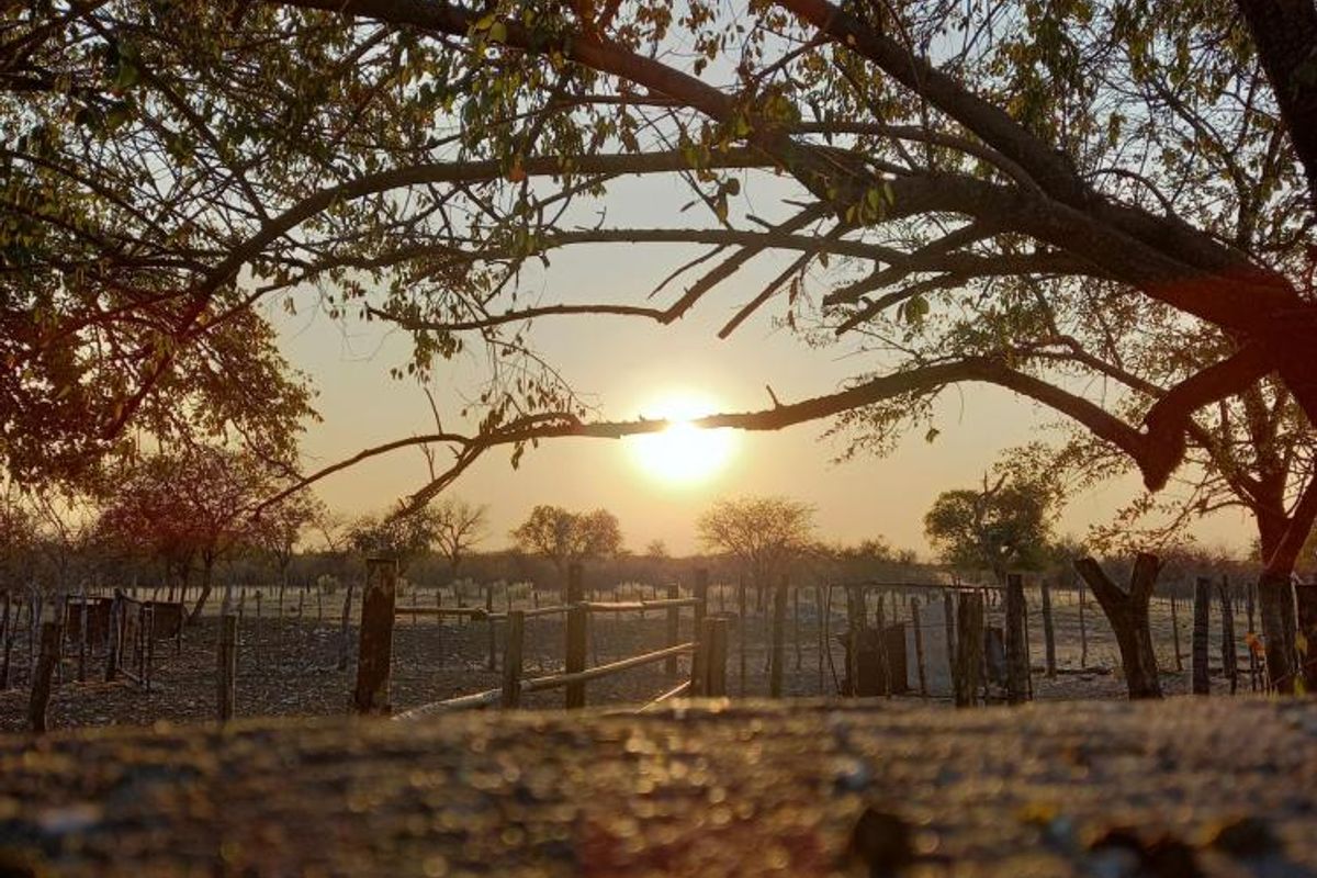 Farm Rosa No. 824 – Tsumeb District on Auction - Photo 3