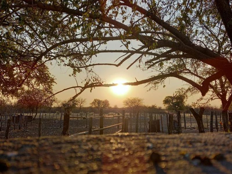 Farm Rosa No. 824 – Tsumeb District on Auction - Photo 3