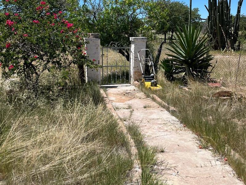 Remainder of Farm Renosterkom - Photo 10