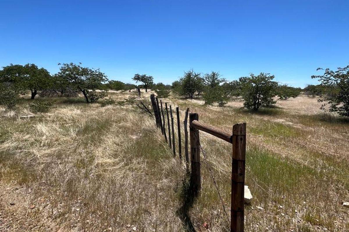 Remainder of Farm Renosterkom - Photo 3