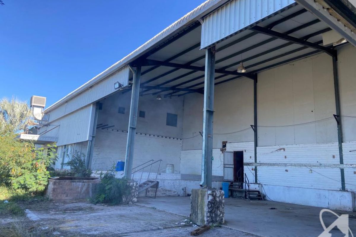 Industrial Investment Opportunity Factory & Cold Storage Facility - Photo 2