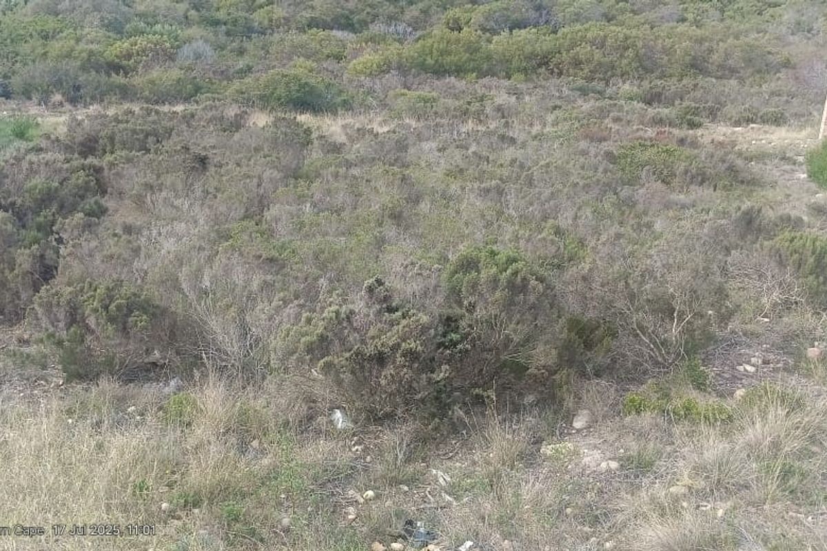 Build Your Dream with a View – Coastal Living in Seemeeu Park - Photo 3