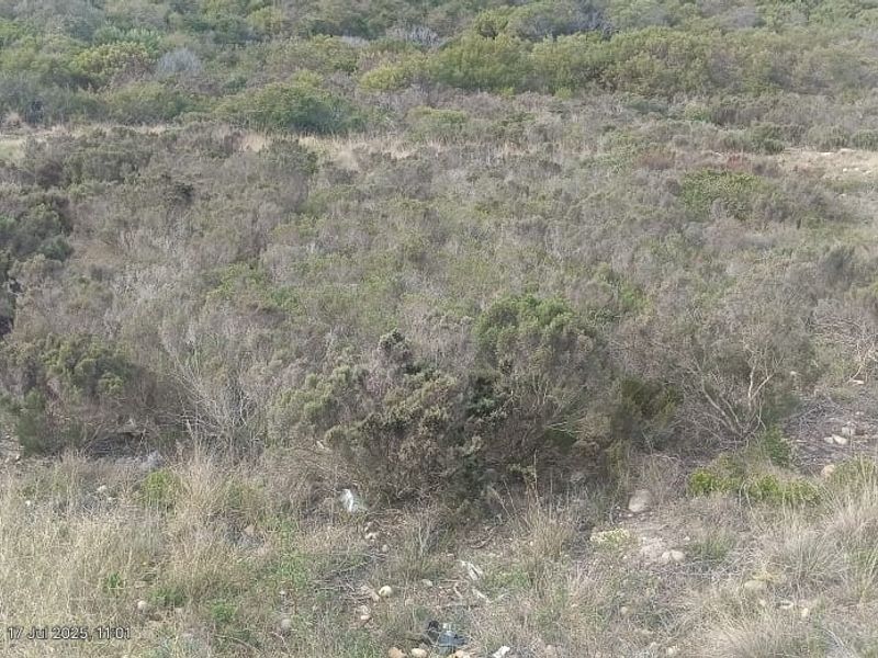 Build Your Dream with a View – Coastal Living in Seemeeu Park - Photo 3