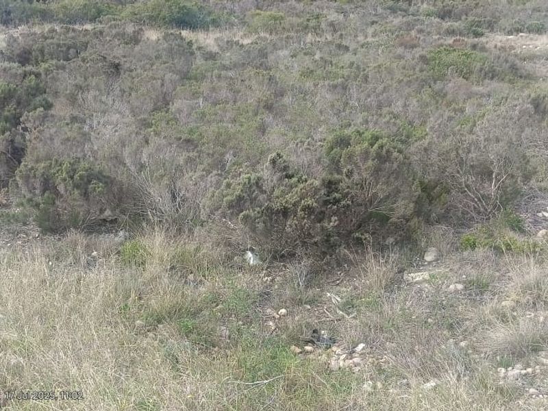 Build Your Dream with a View – Coastal Living in Seemeeu Park - Photo 5