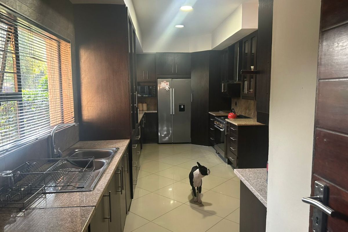 Prime Investment Opportunity: Modernized 550m2 Family Residence – Eldoraigne - Photo 4