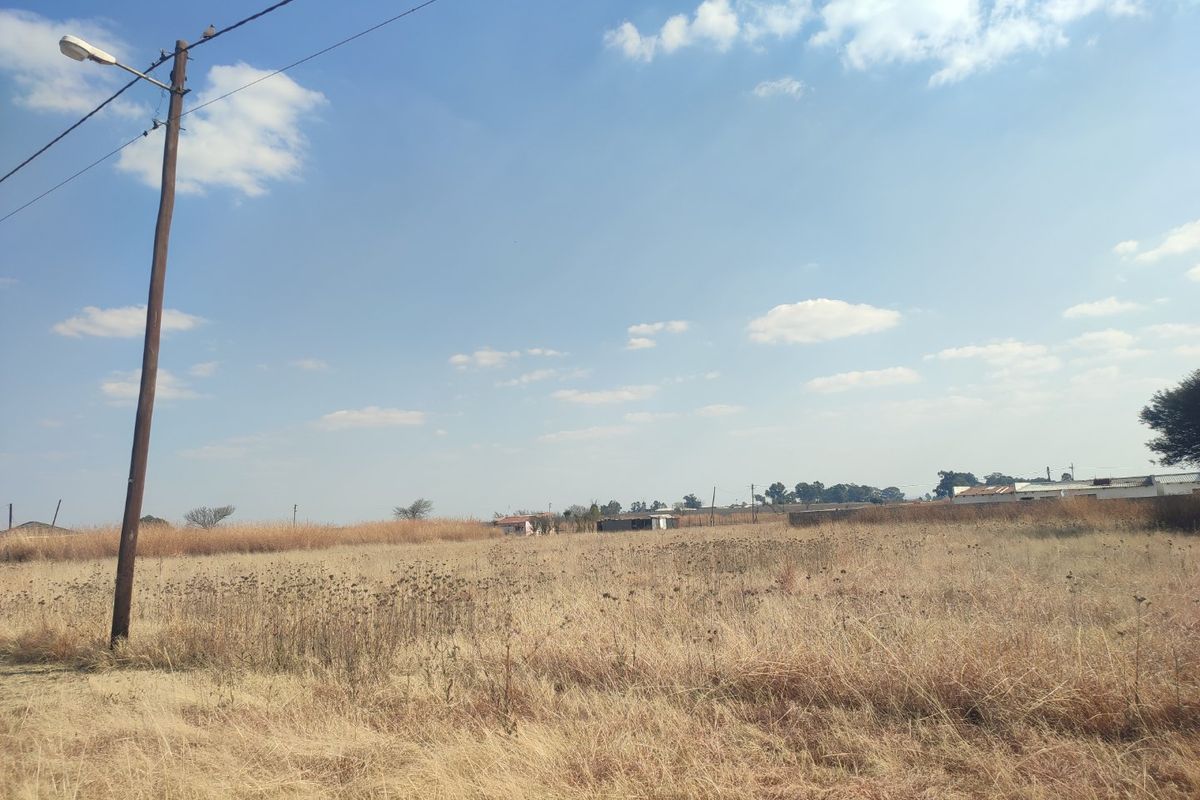 A view of a vacant residential plot featuring dry grass and an existing utility pole with overhead power lines.