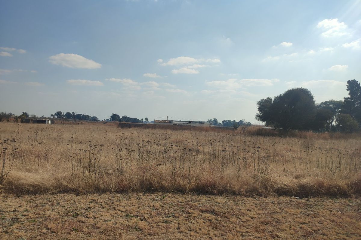 A view of a vacant residential plot featuring dry grass, perimeter fencing, and mature trees under a clear sky.