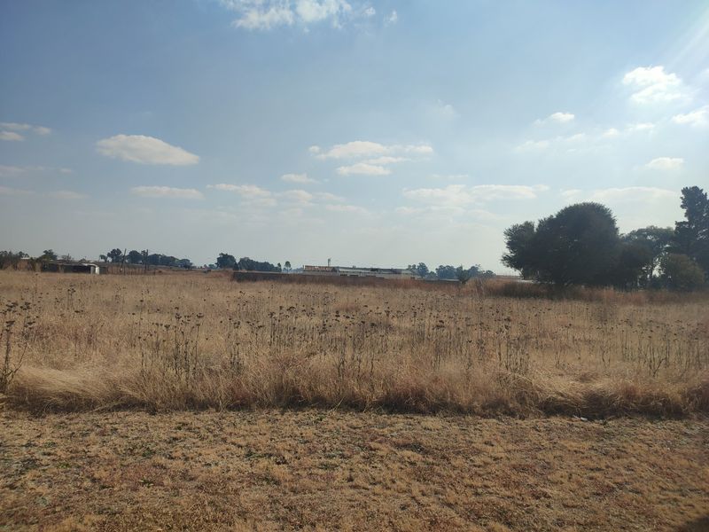 Double VACANT STAND FOR SALE IN DEVON  - Photo 3