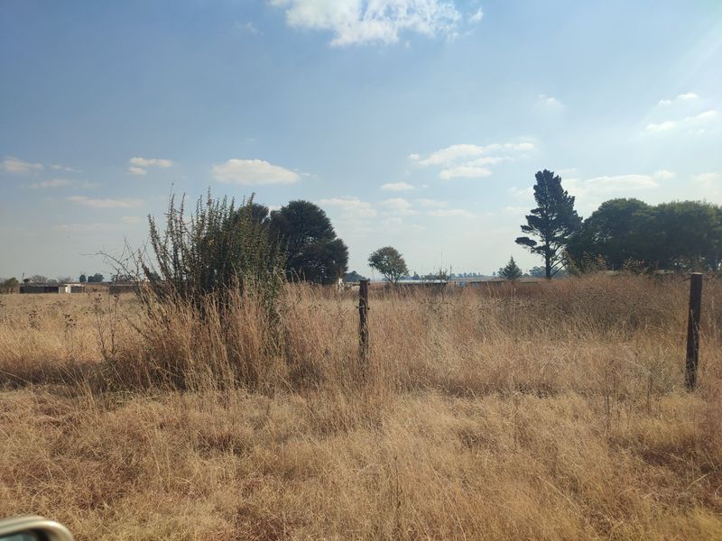 Double VACANT STAND FOR SALE IN DEVON  - Photo 8