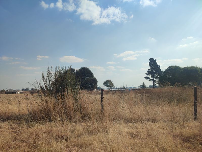 Double VACANT STAND FOR SALE IN DEVON  - Photo 7