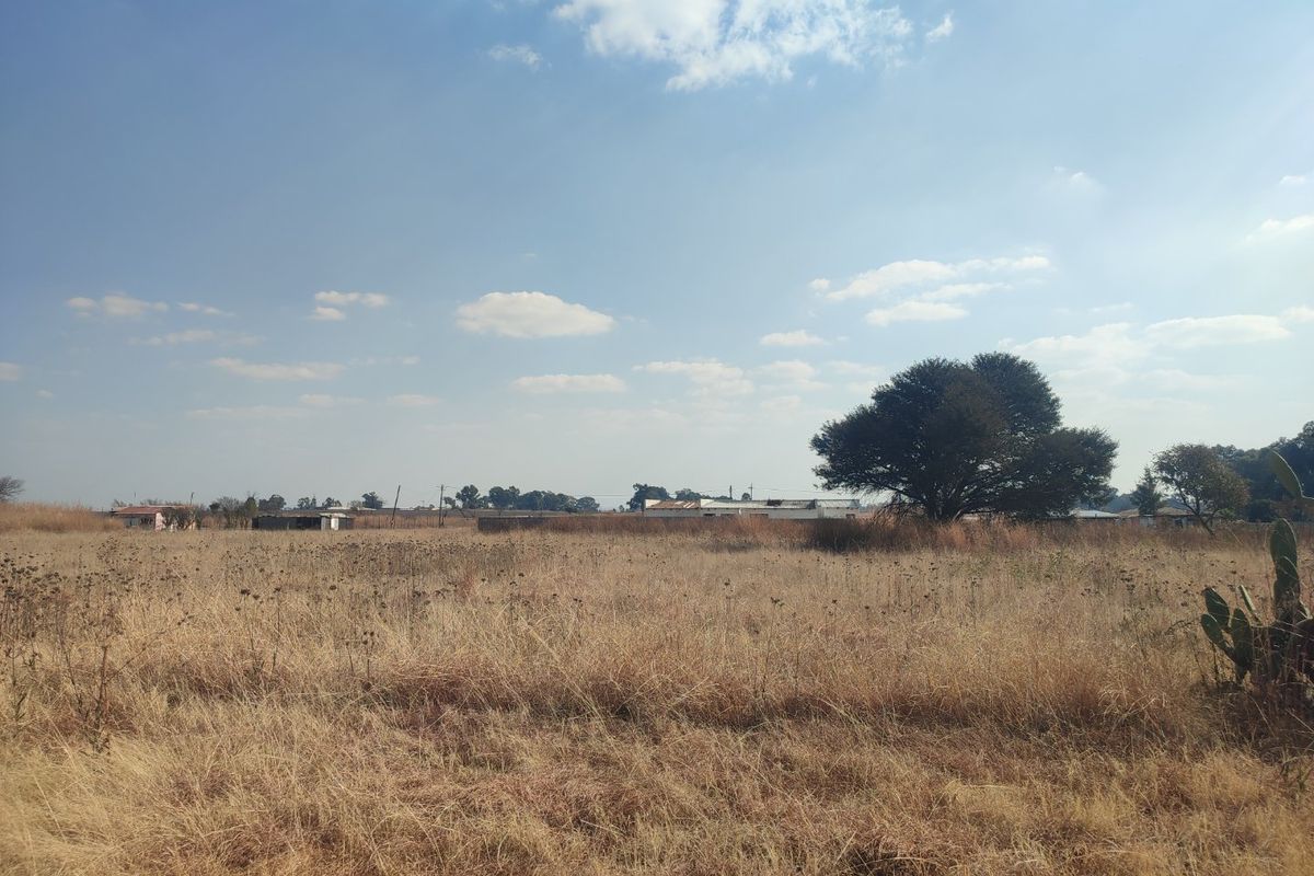 A wide-angle view of a vacant residential plot featuring dry grass and a mature tree under a clear blue sky.