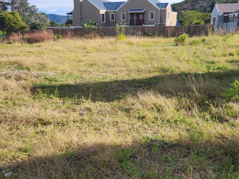 Prime Vacant Stand in Green Pastures Estate – Peace, Space & Position - Photo 9