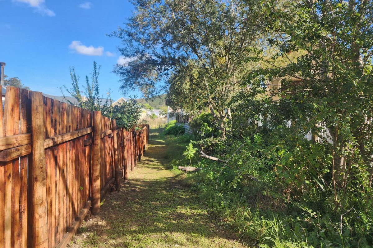 A side garden path featuring a rustic timber fence and established trees and shrubs on a vacant residential plot.