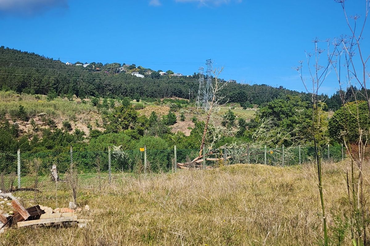 A view of the vacant residential land featuring a wire mesh fence, a fallen tree, and distant hillside landscape with an electricity pylon.
