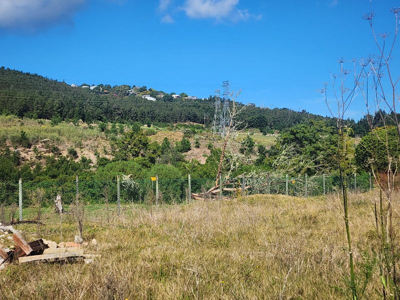 A view of the vacant residential land featuring a wire mesh fence, a fallen tree, and distant hillside landscape with an electricity pylon.