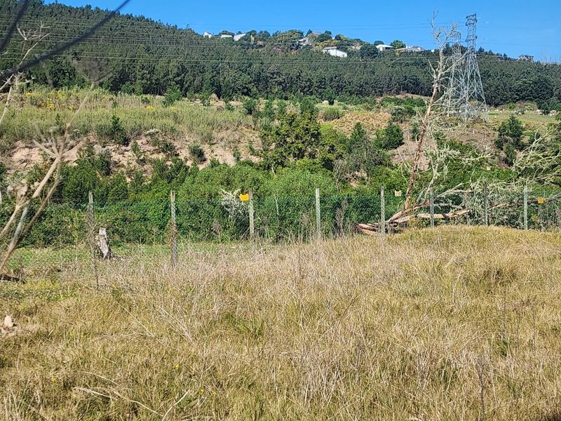 A view of the vacant residential land featuring natural vegetation, a wire boundary fence, and a distant electricity pylon.